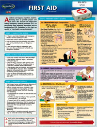 PERMACHARTS - First Aid (2 Panels)