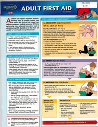 PERMACHARTS - Adult First Aid (2 Panel)