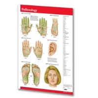 PERMACHARTS - ACU POINTS / REFLEXOLOGY (POSTER)