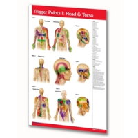 PERMACHARTS - TRIGGER POINTS I/II (POSTER)