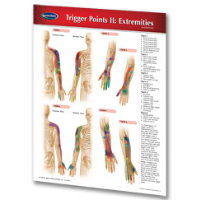 PERMACHARTS - TRIGGER POINTS II:EXTREMITIES (1 PANEL)