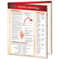PERMACHARTS - ANATOMY MEMOREASE (2 PANEL)