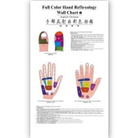 Hand Reflexology Wall Charts