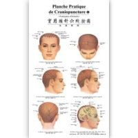 Scalp Acupuncture Wall Chart(French-Chinese)实用头针穴线挂图（法汉对照）