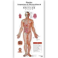 Acupuncture Point Wall Chart(French-Chinese)针灸穴位挂图（法汉对照）
