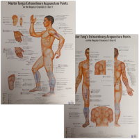 Master Tung's Extraordinary Acupoints Chart SET (2)