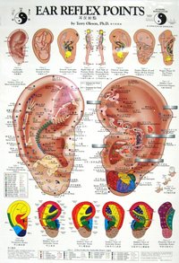 Ear Reflex Points Chart