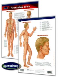 PERMACHARTS - ACUPUNCTURE POINTS (1 PANEL)