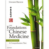 The Foundations of Chinese Medicine