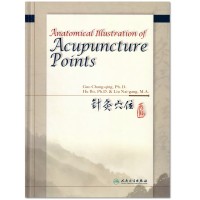 Anatomical Illustration of Acupuncture Point