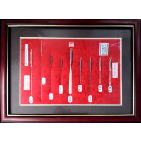 Acupuncture Needles Decoration Set 