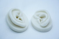 Life-Like Silicone Ears Pr/L&R, 2' x 2.50'